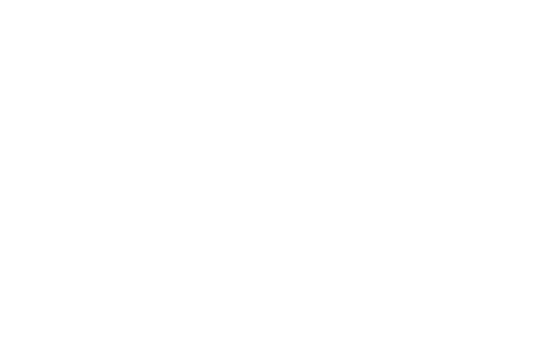 Orca Studios